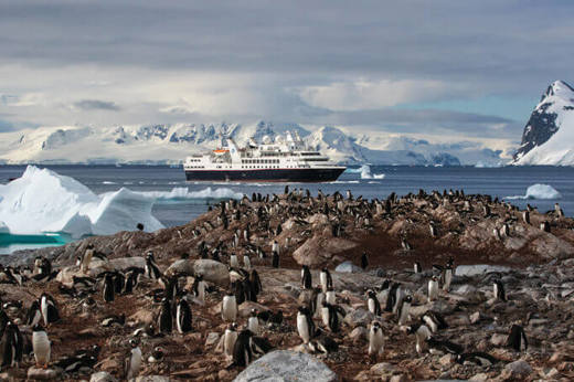 Penguins in Antarctica