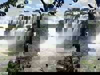 Panoramic view of Iguazu Falls surrounded by lush rainforest. 
