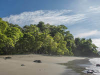 Peaceful beach scene with tropical forest and gentle waves at Manuel Antonio National Park. 