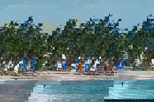 Colourful jangada sailboats on the shore of Porto de Galinhas, Brazil, backed by palm trees and turquoise waters. 