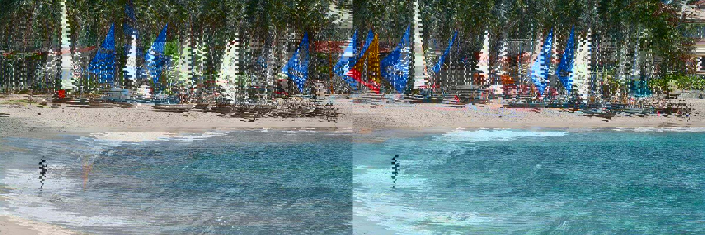 Colourful jangada sailboats on the shore of Porto de Galinhas, Brazil, backed by palm trees and turquoise waters. 