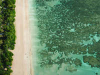 Aerial view of the turquoise sea, coral reef, and tropical shoreline at Morro de Sao Paulo, Bahia, Brazil. 