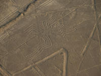 Nazca Lines