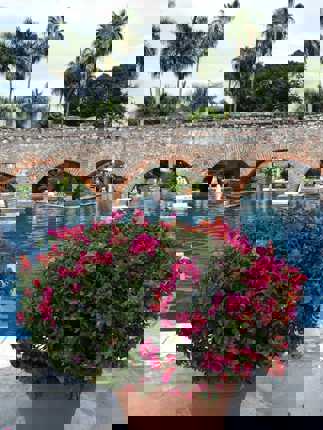 Charming Mexican hacienda with a serene pool, stone arches, and vibrant flowers in a tranquil garden setting. 