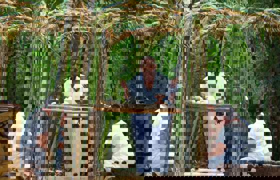 Mayan ritual performed in the Yucatan jungle with traditional attire, natural altar, and sacred elements. 