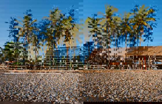 Salvador Beach