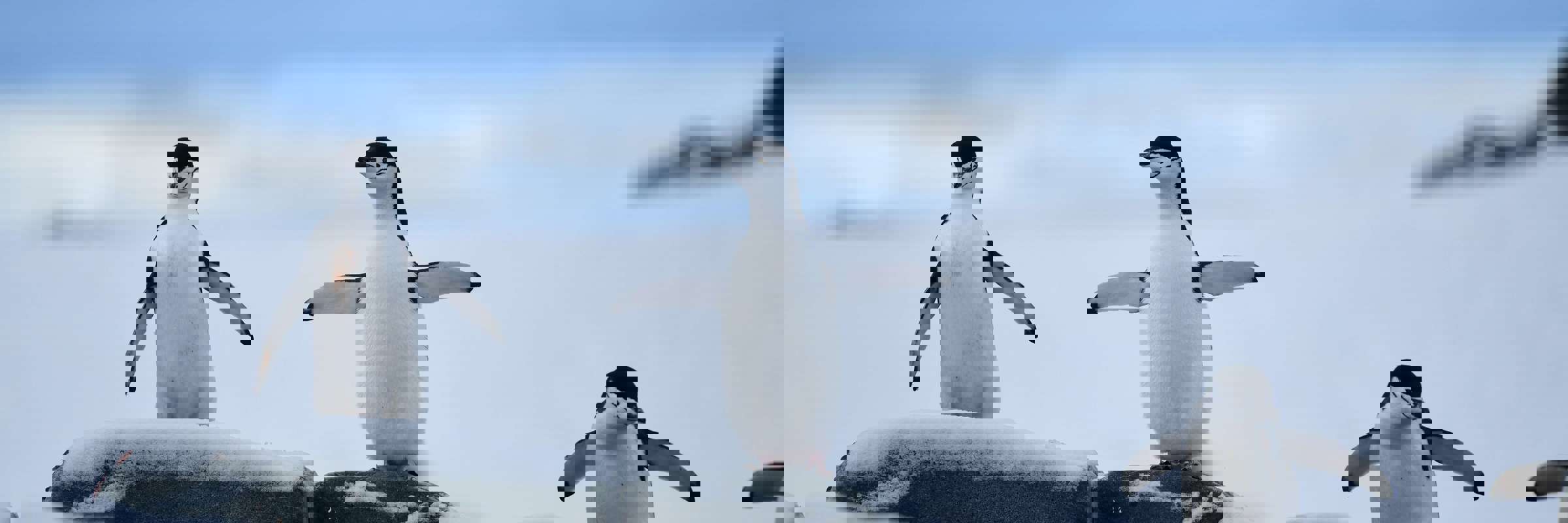 01R 9795