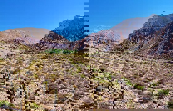 Argentina 4909267 1280